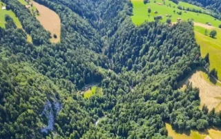 Weissenburgbad-Vogelsicht